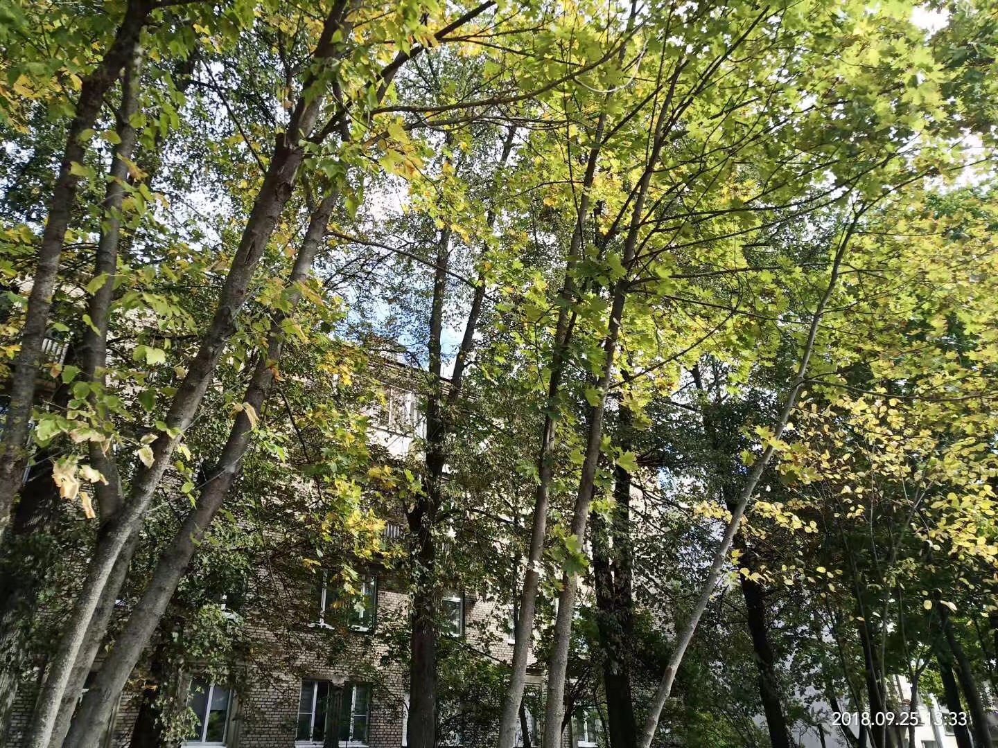 IMG_4469 - 副本.JPG